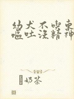 幼犬不吃东西还呕吐没精神怎么办