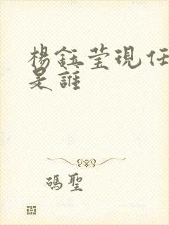 杨钰莹现任丈夫是谁