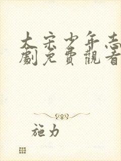 大宋少年志电视剧免费观看全集封面