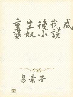 重生后我成了老婆奴小说