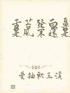 舌苔发白鼻涕黄是风寒还是风热