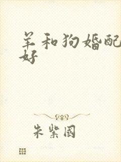 羊和狗婚配好不好