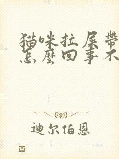 猫咪拉屎带血是怎么回事不拉稀