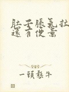 肚子胀气拉完屎还有便意