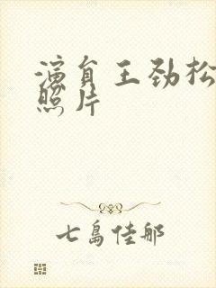 演员王劲松老婆照片