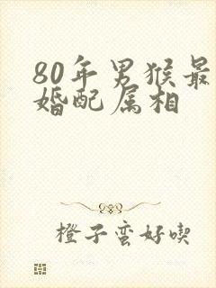 80年男猴最佳婚配属相