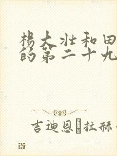 杨大壮和田桂花的第二十九