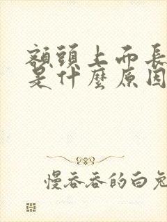 额头上面长白发是什么原因