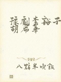 豫剧李豁子全集胡希华