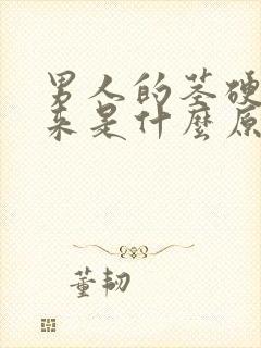 男人的茎硬不起来是什么原因封面