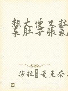 想大便又拉不出来肚子胀气