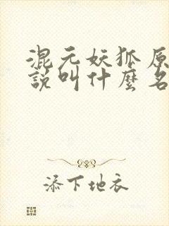 混元妖狐原著小说叫什么名字