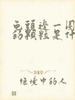 龟头边一圈白色的颗粒是什么