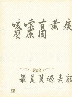 咳嗦有黄痰是什么原因