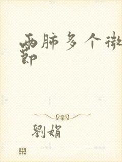 两肺多个微小结节