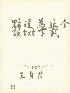 点道为止全本小说txt下载