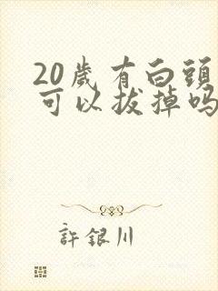 20岁有白头发可以拔掉吗封面