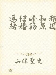 冯绍峰和赵丽颖结婚的原因是什么