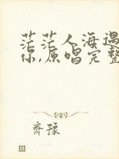 茫茫人海遇见了你,原唱完整版的封面