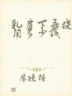 乳房下垂提升费用多少钱