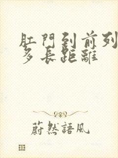 肛门到前列腺有多长距离封面