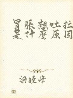 胃胀想吐拉肚子是什么原因引起的