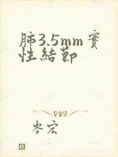 肺3.5mm实性结节