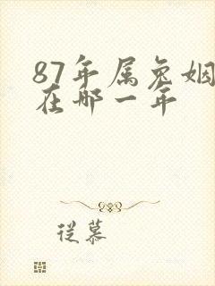 87年属兔姻缘在哪一年封面