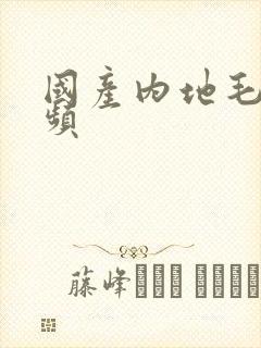 国产内地毛片视频