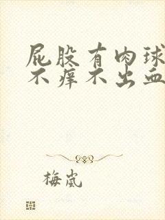 屁股有肉球不痛不痒不出血