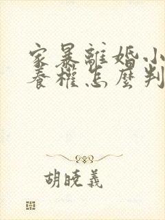 家暴离婚小孩抚养权怎么判