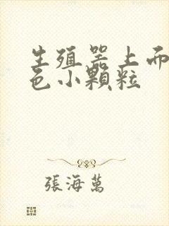 生殖器上面有白色小颗粒