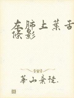 左肺上叶舌段索条影