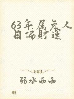 63年属兔人今日偏财运