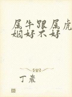 属牛跟属虎的婚姻好不好