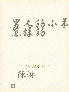 男人的小弟弟是怎样的封面