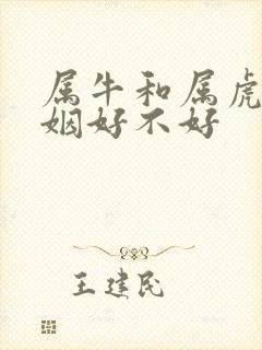 属牛和属虎的婚姻好不好封面