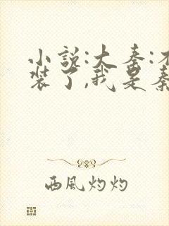 小说:大秦:不装了,我是秦始皇