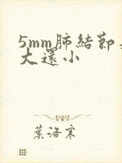 5mm肺结节是大还小