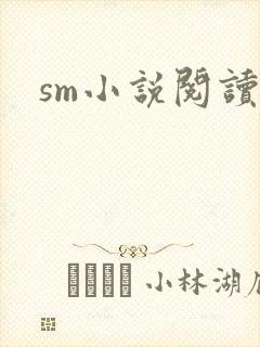 sm小说阅读封面