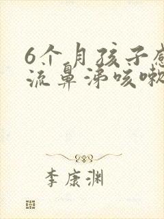 6个月孩子感冒流鼻涕咳嗽怎么治