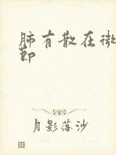 肺有散在微小结节