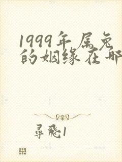 1999年属兔的姻缘在哪年最旺