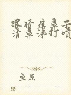 眼睛痒鼻子痒流清鼻涕打喷嚏是怎么回事封面