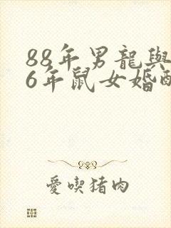 88年男龙与96年鼠女婚配如何