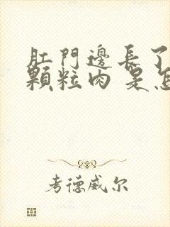 肛门边长了小小颗粒肉 是怎么回事