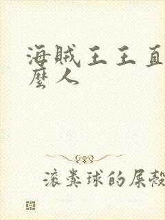 海贼王王直是什么人