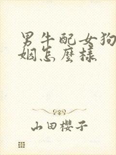 男牛配女狗的婚姻怎么样