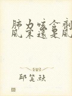 肺力咳合剂治疗风寒还是风热