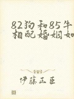 82狗和85牛相配婚姻如何